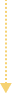 dwn1
